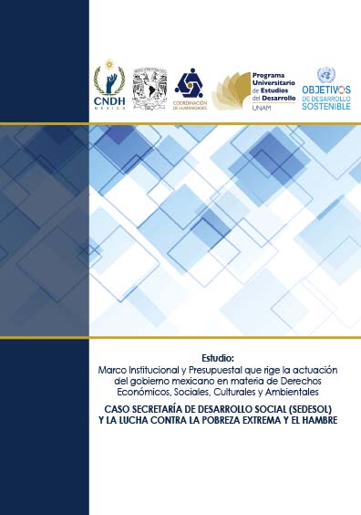 Estudio: Marco institucional y presupuestal que rige la actuación del gobierno mexicano en materia de derechos económicos, sociales, culturales y ambientales. Colección CNDH