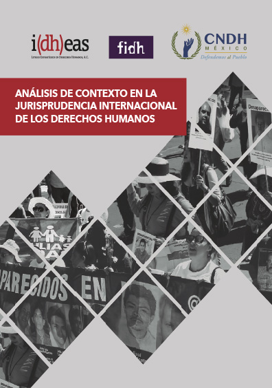 Análisis de contexto en la Jurisprudencia Internacional de los derechos humanos. Colección CNDH